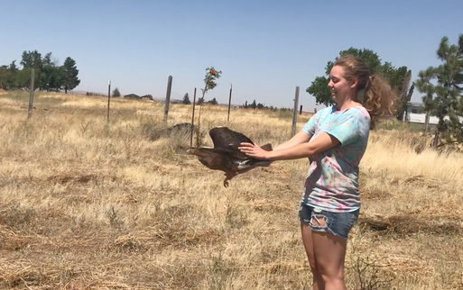 Shyla releasing SWHA