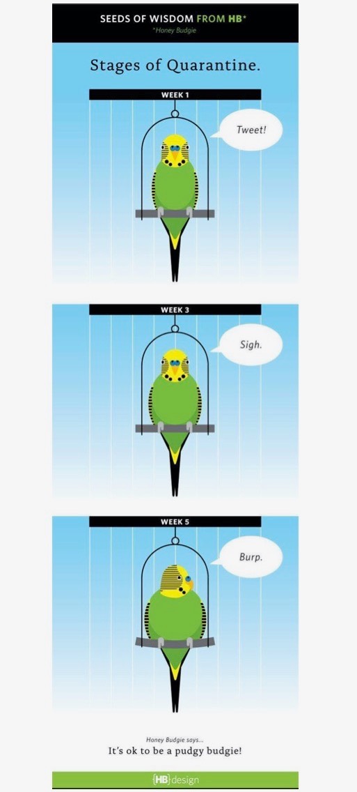 Stages of Quarantine
