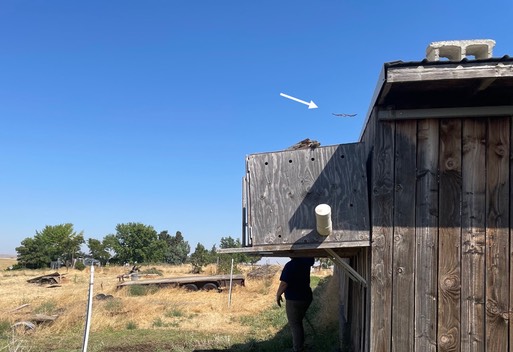 SWHA release.001 (1)