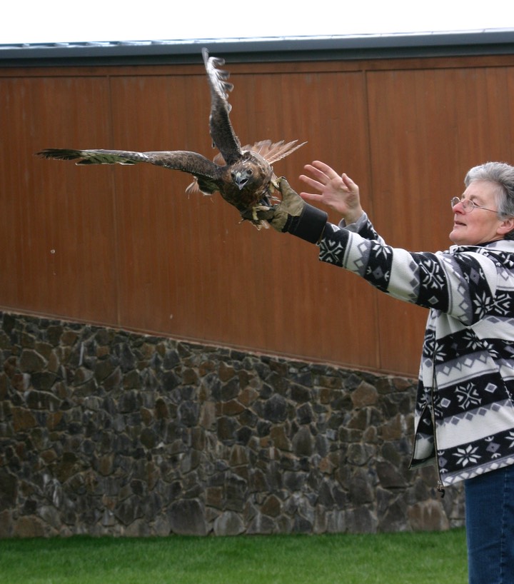 Tamastslikt RTHA Release