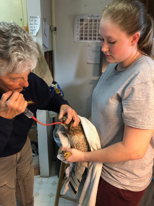 Taylor tx RTHA 19-148