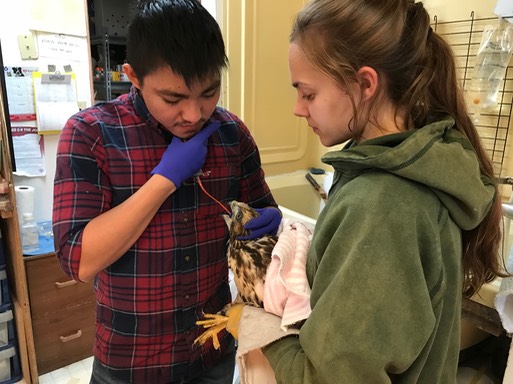 Todd, Samantha 18-232