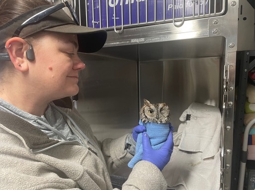 Tricia & WESO 22-400