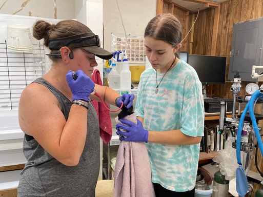 Tricia, Robyn & AMCR