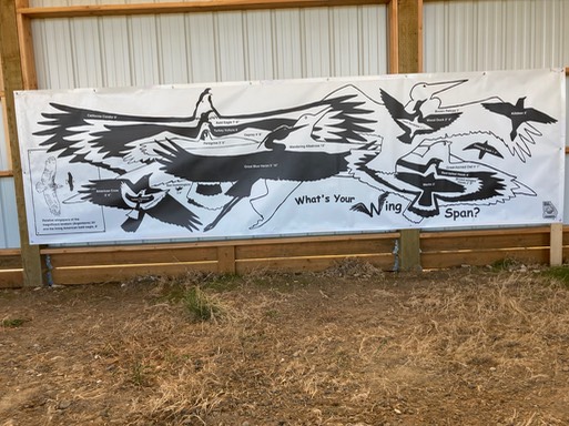 Wingspan Banner