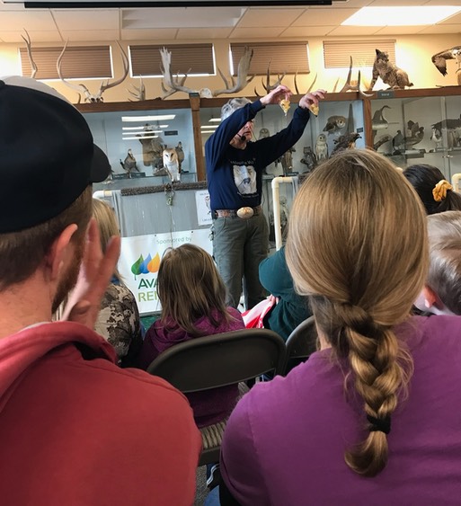 Winter Birds presentation