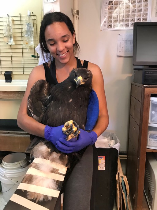 Zabrina & emaciated GOEA